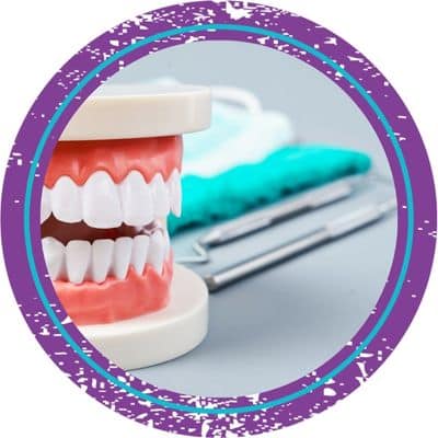 Dental terms